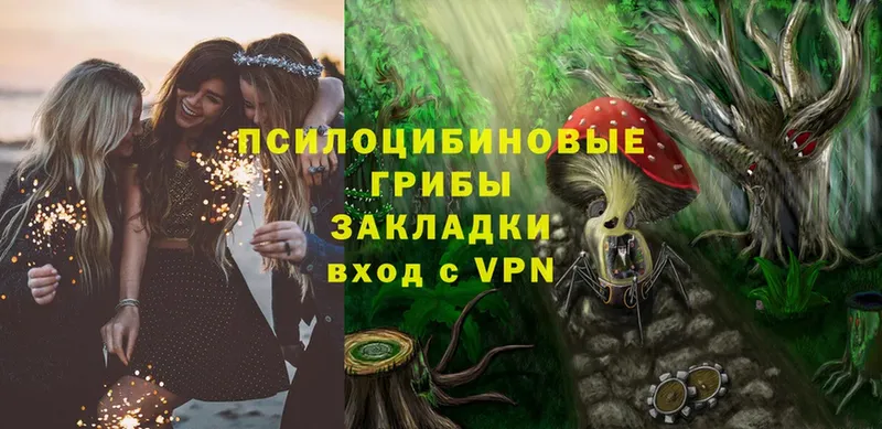 Галлюциногенные грибы GOLDEN TEACHER  сколько стоит  Видное 